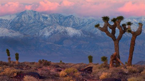 California Desert Wallpapers - Top Free California Desert Backgrounds ...