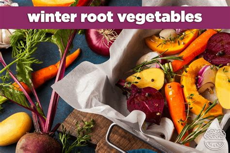 Winter Root Vegetables: How to Choose, Store & Cook | Mind Over Munch