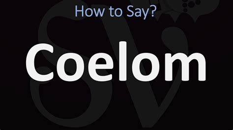 How to Pronounce Coelom? (CORRECTLY) - YouTube