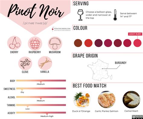 Interesting facts about Pinot Noir | WineTourism.com