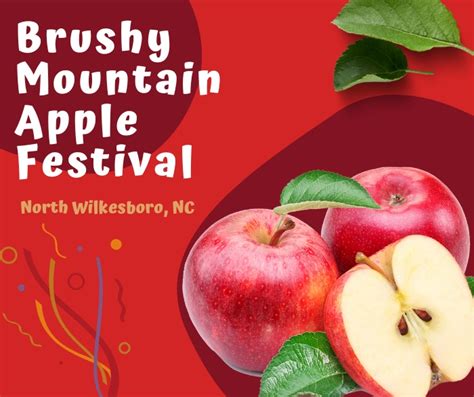 Brushy Mountain Apple Festival 2024 - Nata Tammie