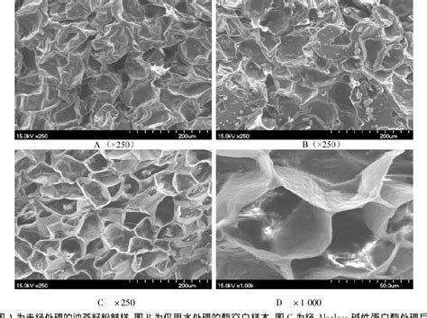 Figure 4 from A Study on the Mechanism of Aqueous Enzymatic Extraction of Camellia oleifera Seed ...