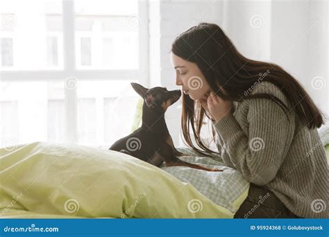 Small Dog Friendship with Human Stock Photo - Image of home, lifestyle ...