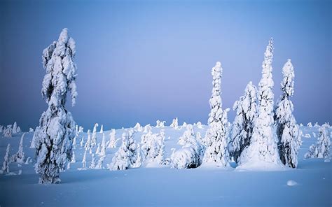 Winter landscape photography opportunities in Finland | Finnature