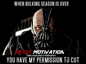 Bane Quotes. QuotesGram