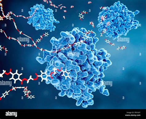 PETase enzymes (blue) breaking down plastic, illustration. PETase is a bacterial enzyme that ...