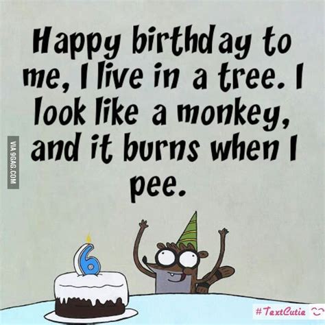 Birthday Song. | Birthday songs, Songs, Best funny pictures