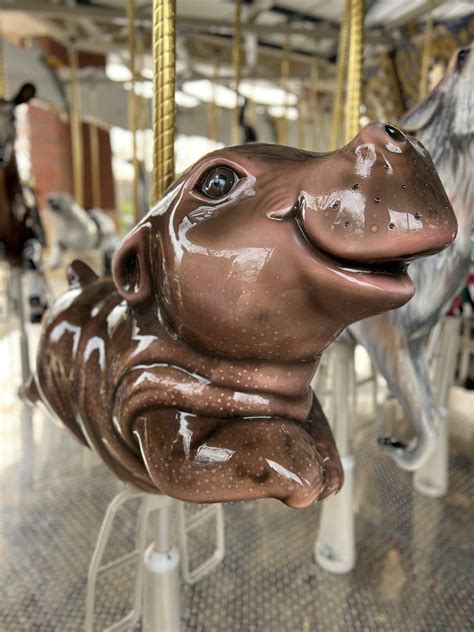 Win a Behind the Scenes Hippo Tour & Get Your Name on the New Carousel ...