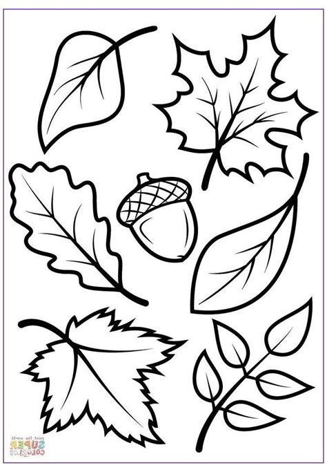 Free Printable Coloring Page Leaves