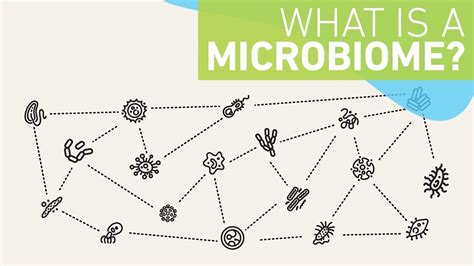 What is a microbiome? - YouTube