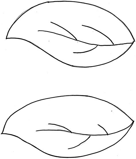 Leaf Outline Drawing | Free download on ClipArtMag