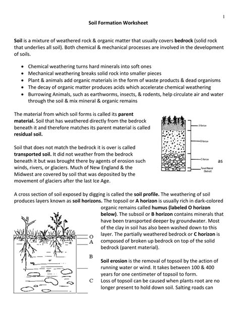 Layers Of Soil Worksheet – English Worksheet