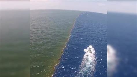 Footage Showcasing Incredible Point Where The Mississippi River Meets The Gulf of Mexico ...