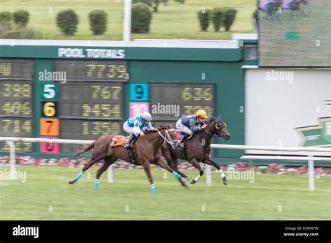 Thoroughbred Horse Racing Stock Photo - Alamy