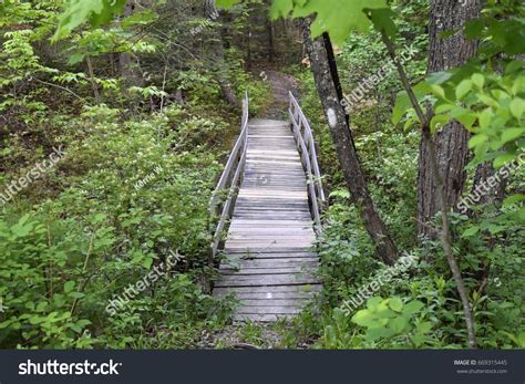 Wooden Bridge On Foot Path Stock Photo 669315445 | Shutterstock