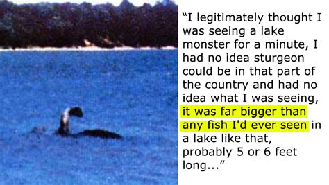 20 Theories About What The Lake Champlain Monster Photographed in 1977 Really Is – Collective World