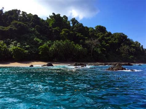 Snorkeling at Cano Island: The 2nd Best Place in Costa Rica