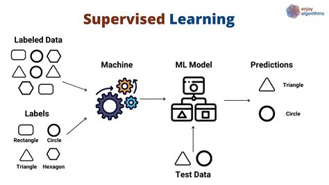 Supervised and Unsupervised Learning (an Intuitive Approach) | by Metehan Kozan | Sep, 2021 | Medium