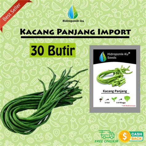 Jual Bibit / Benih Kacang Panjang Import ( 30 biji ) Hidroponik ku - Jakarta Barat - HIDROPONIK ...