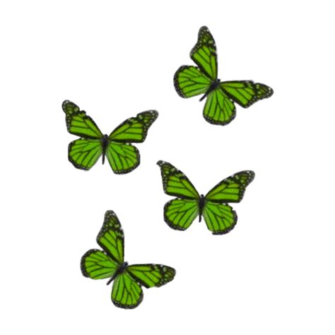 #freetoedit #green #butterflies #aesthetic #toxic #billieeilish #remixed from @annekedickson ...