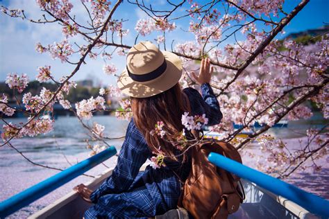 17 Best Places To See Cherry Blossoms in Tokyo | Tokyo Weekender