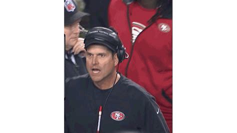This Jim Harbaugh Freakout Is Priceless, The Ray Lewis Freakout Is Just Weird: Your NFL ...