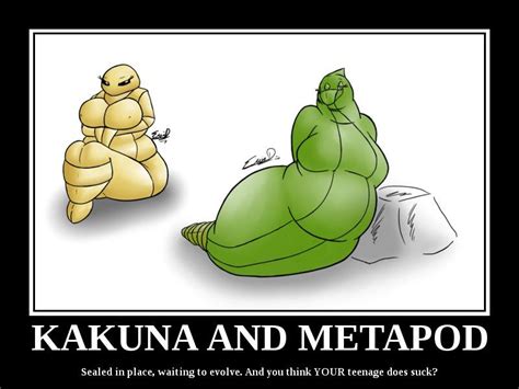 Kakuna and Metapod | Pokémon | Know Your Meme