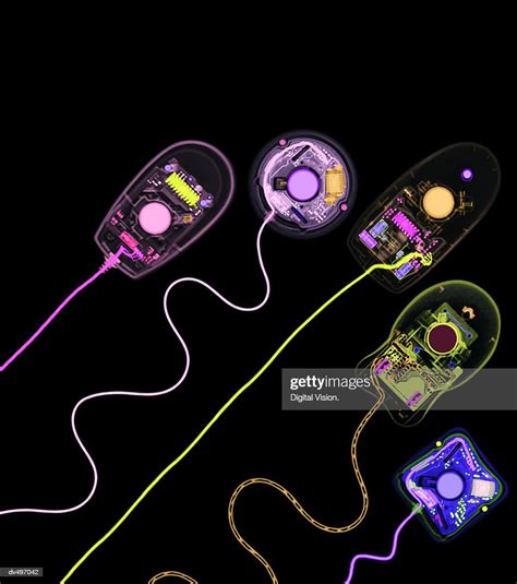 Different Computer Mouse Shapes High-Res Stock Photo - Getty Images