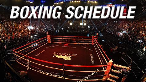 Boxing Schedule: Which fights will take place this weekend?