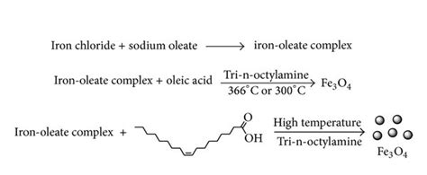 Scheme of Fe3O4 nanoparticle Synthesis. | Download Scientific Diagram