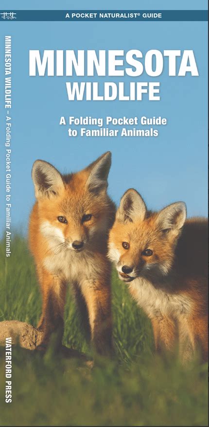 Minnesota Wildlife Pocket Guide