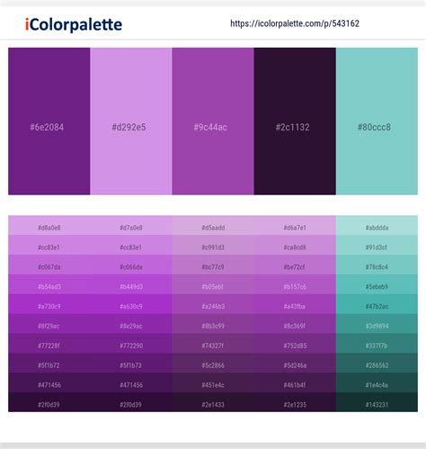 300+ Latest Color Schemes with Vivid Violet Color tone combinations | 2023 | iColorpalette