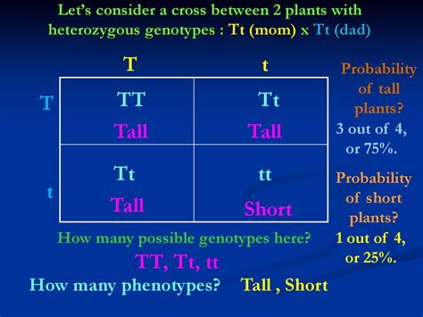 How were genetics involved? - ppt download