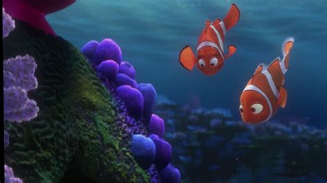 Image - Finding-nemo-disneyscreencaps.com-129.jpg | Disney Wiki | FANDOM powered by Wikia