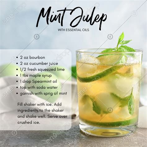 Mint Julep Recipe by Pixel Perfect