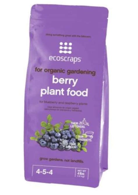 Top Best Fertilizer for Blackberries - A Comprehensive Guide