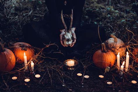 Free Images : hand, branch, person, light, night, dark, lantern, autumn ...