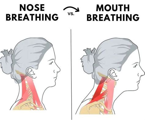 Nose Breather Vs Mouth Breather - MEDizzy