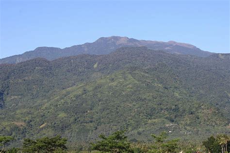 Mindoro Rainforests | One Earth