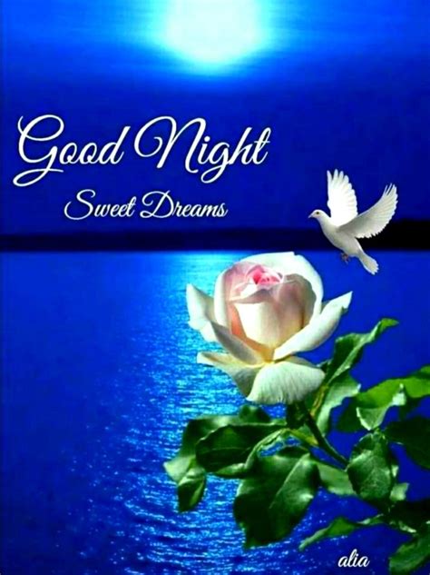 Good night Saved by SRIRAM Good Night Qoutes, Good Night Thoughts, Good Night I Love You ...