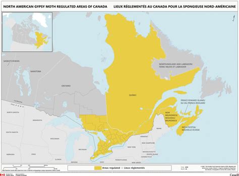 CFIA enacts urgent measures to prevent spread of gypsy moth on nursery stock - Greenhouse ...