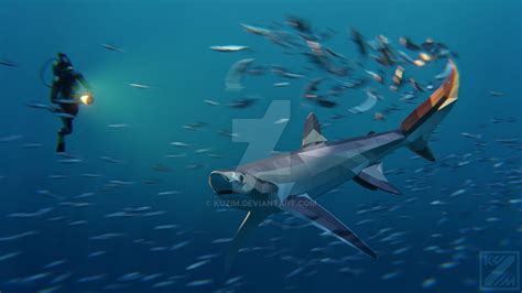 Bigeye Thresher Shark in Low Poly by kuzim on DeviantArt