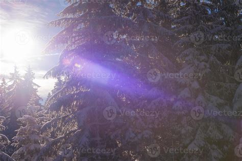 winter landscape in forest at sunset 10702404 Stock Photo at Vecteezy