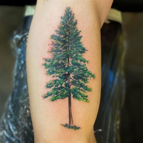 Discover more than 72 cedar tree tattoo super hot - in.cdgdbentre