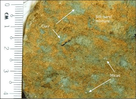 4. Photography of sample DC 40 (Unit B) showing bioturbation structures... | Download Scientific ...