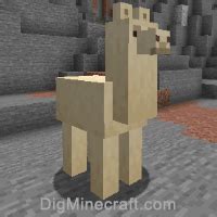 minecraft how to control a llama