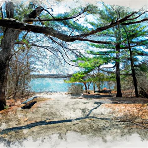 Nickerson State Park | Massachusetts Parks Visitor Guide