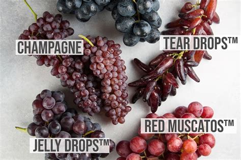 A Visual Guide to Grape Varieties – Real Food, Mostly Plants