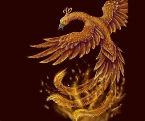 21+ Mind Blowing Phoenix Bird Art Drawings | Free & Premium Templates