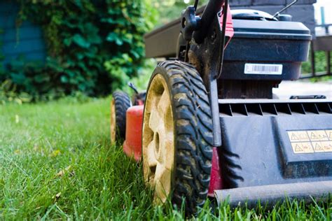 Mowing height, what is the best height for your grass type? – Garden Tool Expert Store